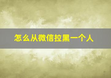 怎么从微信拉黑一个人