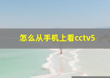 怎么从手机上看cctv5