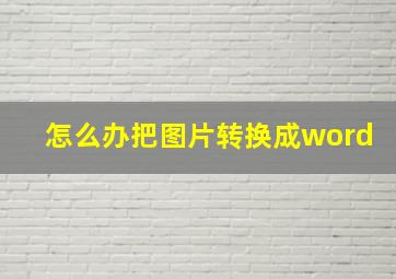 怎么办把图片转换成word