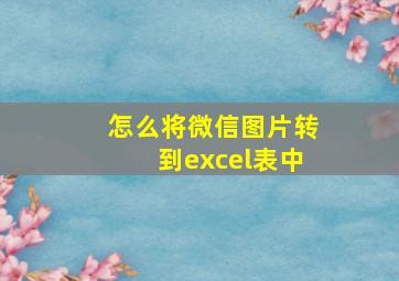 怎么将微信图片转到excel表中