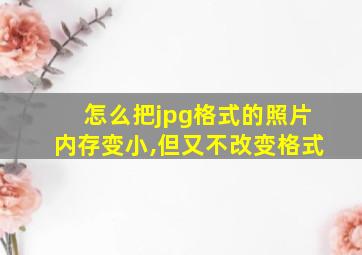 怎么把jpg格式的照片内存变小,但又不改变格式