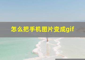 怎么把手机图片变成gif