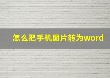 怎么把手机图片转为word