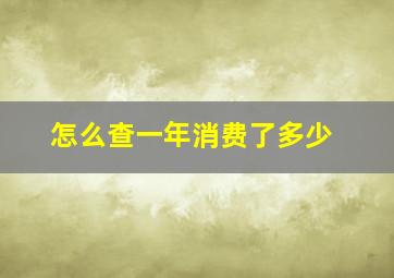 怎么查一年消费了多少