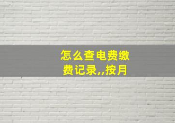 怎么查电费缴费记录,,按月