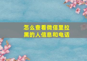 怎么查看微信里拉黑的人信息和电话