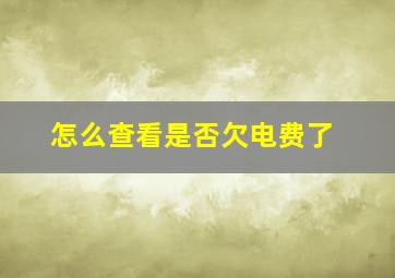 怎么查看是否欠电费了