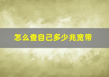 怎么查自己多少兆宽带