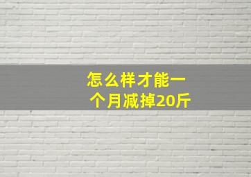 怎么样才能一个月减掉20斤