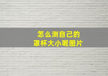 怎么测自己的罩杯大小呢图片