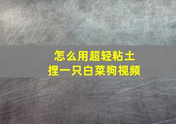 怎么用超轻粘土捏一只白菜狗视频