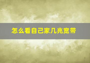 怎么看自己家几兆宽带