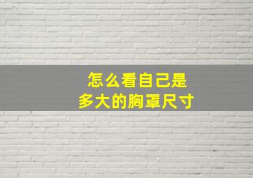 怎么看自己是多大的胸罩尺寸