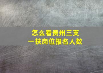 怎么看贵州三支一扶岗位报名人数