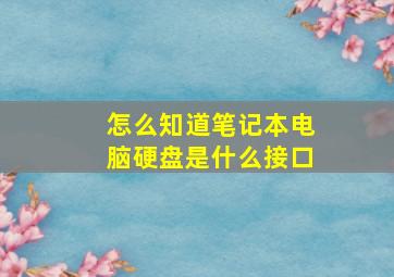 怎么知道笔记本电脑硬盘是什么接口