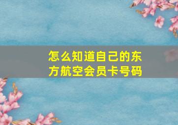 怎么知道自己的东方航空会员卡号码