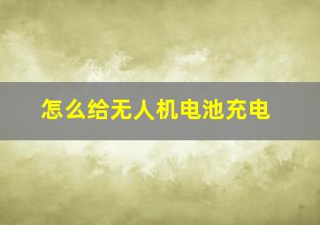 怎么给无人机电池充电