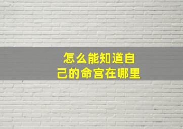 怎么能知道自己的命宫在哪里