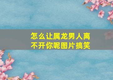 怎么让属龙男人离不开你呢图片搞笑