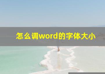 怎么调word的字体大小