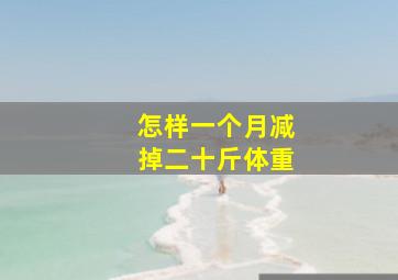 怎样一个月减掉二十斤体重