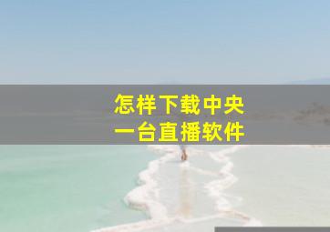 怎样下载中央一台直播软件