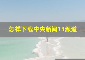 怎样下载中央新闻13频道