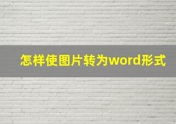 怎样使图片转为word形式