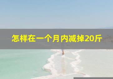 怎样在一个月内减掉20斤