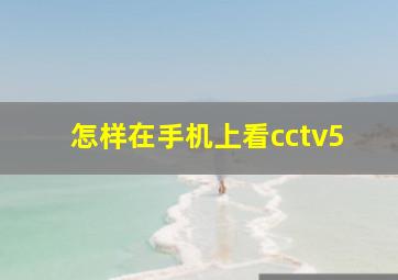 怎样在手机上看cctv5