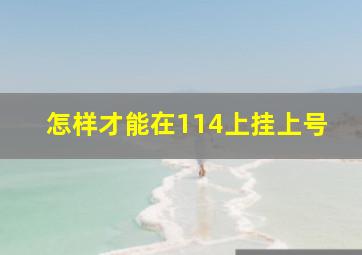 怎样才能在114上挂上号