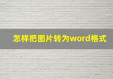 怎样把图片转为word格式