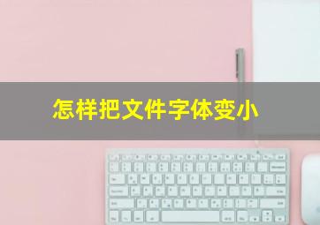 怎样把文件字体变小