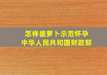 怎样拔萝卜示范怀孕中华人民共和国财政部