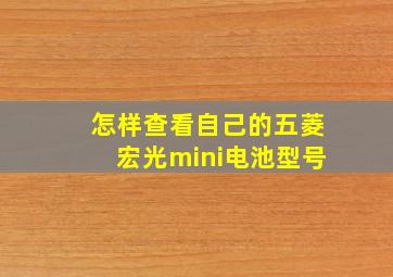 怎样查看自己的五菱宏光mini电池型号