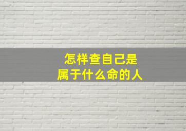 怎样查自己是属于什么命的人