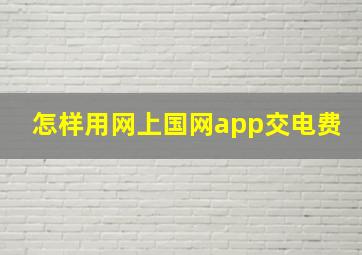 怎样用网上国网app交电费