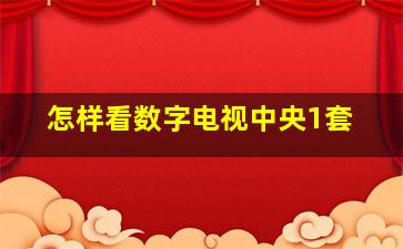 怎样看数字电视中央1套