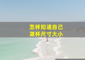 怎样知道自己罩杯尺寸大小