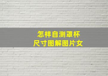 怎样自测罩杯尺寸图解图片女