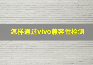 怎样通过vivo兼容性检测