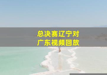 总决赛辽宁对广东视频回放