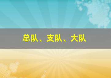 总队、支队、大队