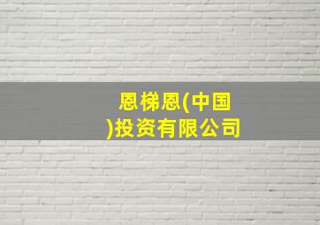 恩梯恩(中国)投资有限公司