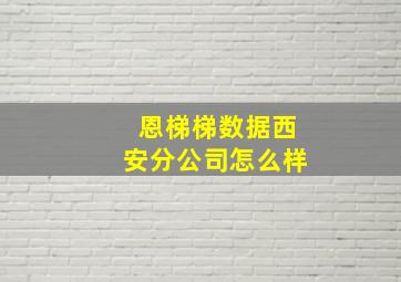 恩梯梯数据西安分公司怎么样