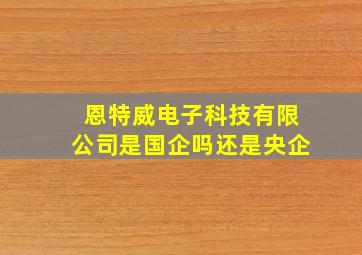 恩特威电子科技有限公司是国企吗还是央企