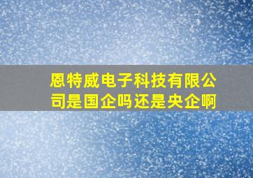 恩特威电子科技有限公司是国企吗还是央企啊