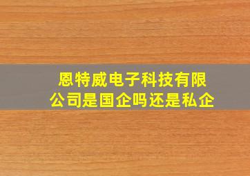 恩特威电子科技有限公司是国企吗还是私企