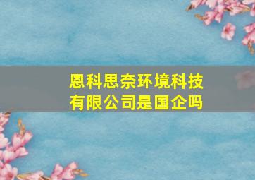 恩科思奈环境科技有限公司是国企吗