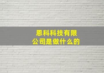 恩科科技有限公司是做什么的